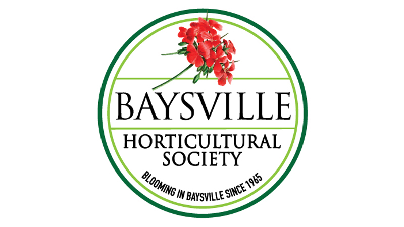 Baysville Society